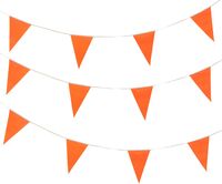 HEMA HEMA Vlaggenlijn Oranje 10 Meter (oranje)
