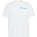 Calvin Klein Jeans T-shirt Lv04rg827g Calvin Disc Stack Graphi