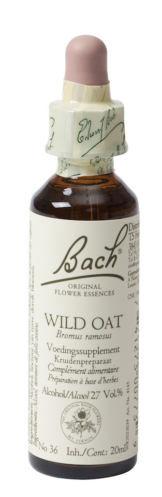 Bach Flower Remedies Ruwe Dravik 36