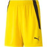 PUMA Unisex baby shorts Teamliga Shorts Jr