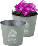 Sunnydays Pot de fleurs/Pot de fleurs - 2x - Zinc - Vert jade - D17 x H14 cm