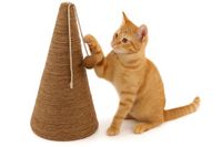 FLAMINGO Kattenkrabkegel Zeegras - Beige - 30 x 30 x 50 cm