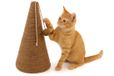 FLAMINGO Kattenkrabkegel Zeegras - Beige - 30 x 30 x 50 cm