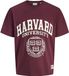 JACK&JONES JORHARVARD TEE SS C.N STYD SS25 Homme T-shirt - Coton - XXL - Coupe ample - Maroon Banner