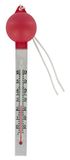 Steinbach 061310 Zwemthermometer, 290 x 60(22) mm