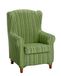Martina Home Mejico Oorfauteuil Duplex, Groen