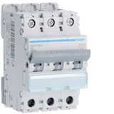 Hager Serie N - automatische magneet -m Curve-D 10ka 3-polig 3a
