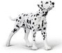 Collecta Figurine - Dalmatiër - (M) - Honden - Handgeschilderd - Miniatuur