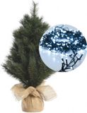 Kaemingk B.V. Mini sapin de Noël 45 cm - avec guirlande lumineuse blanc clair 300cm -40 leds