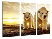 Fotodruk Wildlife Fotodruk dieren, ijsbeer, mama en baby amardecer, Wildlife totale grootte: 97 x 62 cm XXL