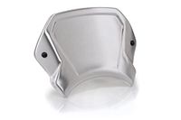 Puig Aluminium R Nine T Voorplaat Zilver