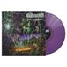Dark Gatecreeper Dark Superstition (PURPLE VINYL)