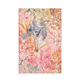 Paperblanks 12-maandenkalender 2025, anemon, midi, horizontaal, met omslag