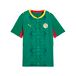 PUMA Shirt fonctionnel 'Senegal 2026' jaune / vert / rouge