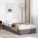 Prolenta Maison Exclusive - Ottoman bedframe met opbergruimte, grijs, 90 x 190 cm, kunstleer