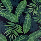 Venilia 54941 Plakfolie met jungle-motief, bladerpatroon, decoratiefolie, meubelfolie, behang, zelfklevende folie, pvc, zonder ftalaten, groen-zwart, 90 cm x 2,6 m, dikte 95µ (0,095 mm)