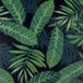 Venilia 54941 Plakfolie met jungle-motief, bladerpatroon, decoratiefolie, meubelfolie, behang, zelfklevende folie, pvc, zonder ftalaten, groen-zwart, 90 cm x 2,6 m, dikte 95µ (0,095 mm)
