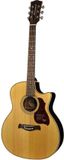 Richwood The Music Alliance Akoestische gitaar grand auditorium G-65-CEVA