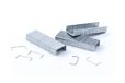 Pavo 8043019 nietjes, verzinkt, 26/6 mm, 1000 stuks