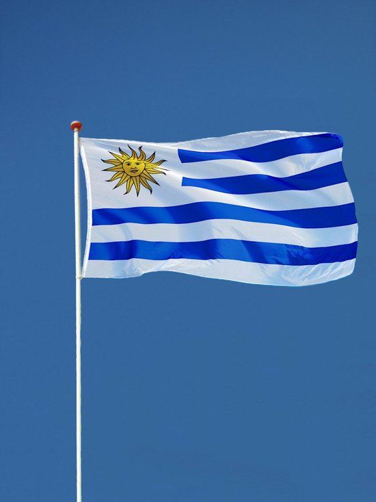 Uruguayaanse Vlag 90x150cm - Polyester - Wit blauw - Met bevestigingsringen