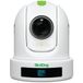 BirdDog P120 PTZ Camera 1080P with 20x Zoom, OLED screen