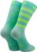 Sporcks Sokken Legend Groen Unisex 41-43