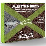 Strijtveen & Wagenaar Aaltjes tegen Emelten 50m² - Steinernema Carpocapsae
