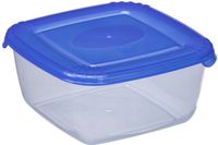 NHG GmbH Boîte de congélation carrée grise avec couvercle, 0,46 litre