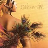 Acoustic Motown Acoustic Soul
