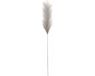 House of Seasons Pluimgras losse steel/tak - zilvergrijs - 104 cm - Decoratie kunst bloemen