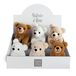 Histoire d'ours Display beer, wit, 3 x bruin, 2 x beige, HO2999, gemengde kleuren