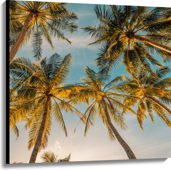Merkloos / Sans marque Canvas - Onderaanzicht van Hoge Palmbomen in het Zonlicht - 100x100 cm - Wanddecoratie op Canvas