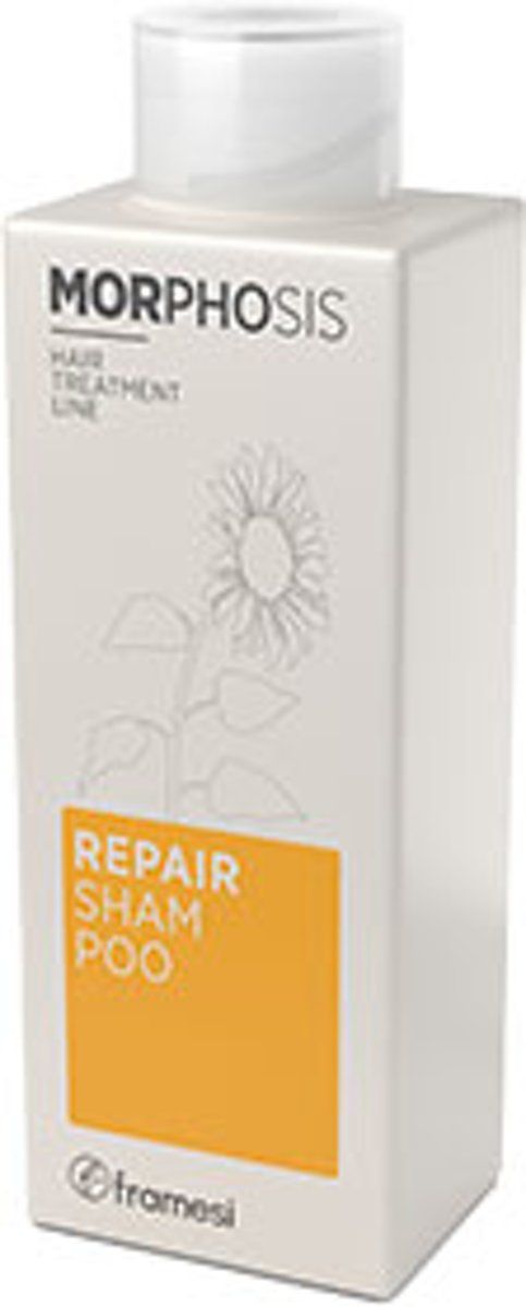 Alterna® Framesi Morphosis Repair Shampoo 250ml