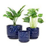 Nattol Keramische bloempotten, keramische plantenbakken met afvoergat en schotel, moderne ronde vetplanten voor binnen met uilontwerp, klein tot middelgroot, set van 3, marineblauw