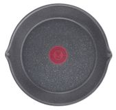 Tefal L3968302 - Pan - 220 mm - Rond - Grijs - Aluminium - 1 stuk