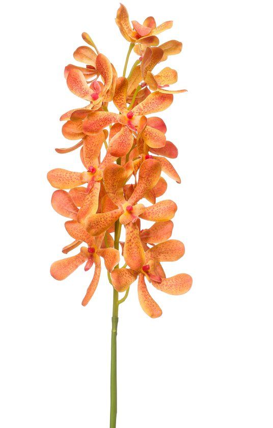 Emerald - Kunstbloem Vanda RT 80cm oranje - Kunstplant voor binnen