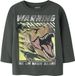 NAME IT Jongens Lange Mouwen Shirts - 110 - Katoen - Printopdruk - Urban Chic