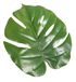 Rayher 55855000 Monstera-blad, 2 stuks, 16 x 14 cm, voor zomerse decoraties