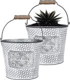 Sunnydays Seau/pot de fleurs/pot de fleurs - 2x - zinc - argent - D17 x H14 cm