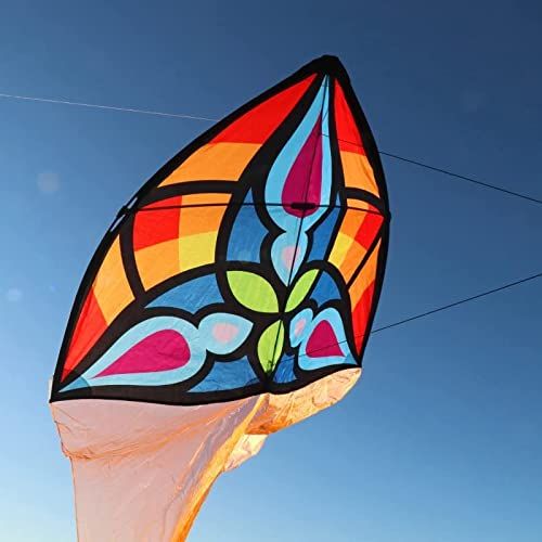 Spiderkites Starlight Red - 2023 - EAN: 4260534512110