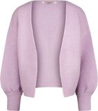 Vingino Vest Mandie Gloss Lilac Gestreept Katoen V-hals Lange Mouw Kort Unisex Kinderen 176