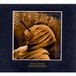 Bertus Distributie Berne, Ducret, Rainey - Big Satan (Time Berne, Marc Ducret