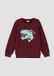 s.Oliver Sweatshirt met omkeerbare pailletten met een gezellige binnenkant