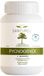 Santurel Pycnogenol® 100 mg + Acerola - Bonne circulation sanguine et circulation sanguine