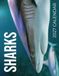 Sharks 2027 Calendar