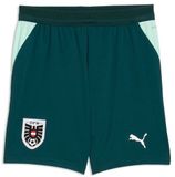 Puma Kindersportbroek Öfb Shorts Replica JR 783213 Groen 176