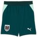 Puma Kindersportbroek Öfb Shorts Replica JR 783213 Groen 176