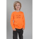 TYGO & vito longsleeve met print - oranje