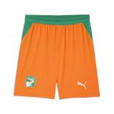 PUMA Ivoorkust 2026 short voor Heren, Groen/Oranje, Maat M