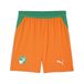 PUMA Ivoorkust 2026 short voor Heren, Groen/Oranje, Maat M